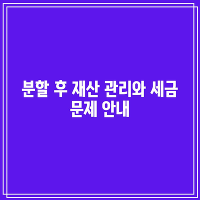 별거 중 이혼 소송: 재산 분할 방법