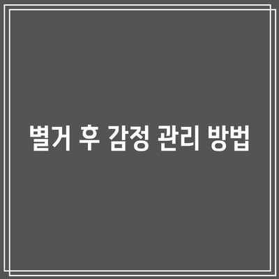 별거 후 이혼 대처 방법