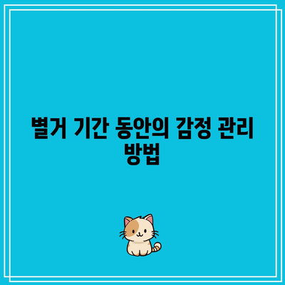 상황에 따른 별거 이혼의 고려 사항