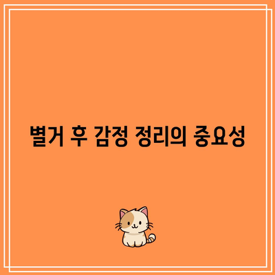 별거 후 이혼의 효과적 대처 방법