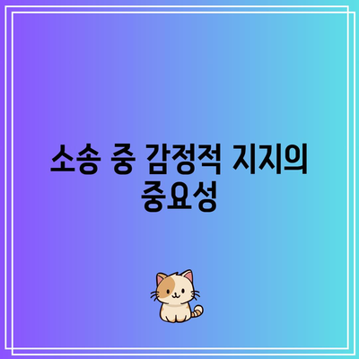 별거 이혼 소송: 법적 조력을 받는 이유