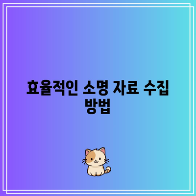 별거 이혼 소송에서 소명 필요 사항