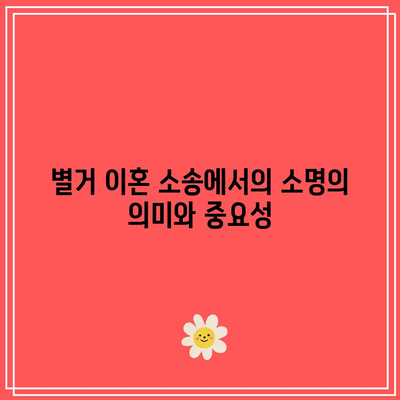 별거 이혼 소송에서 소명 필요 사항