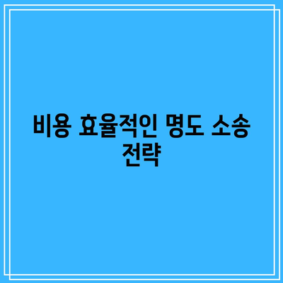 명도 소송 강제 집행의 합리적인 선택