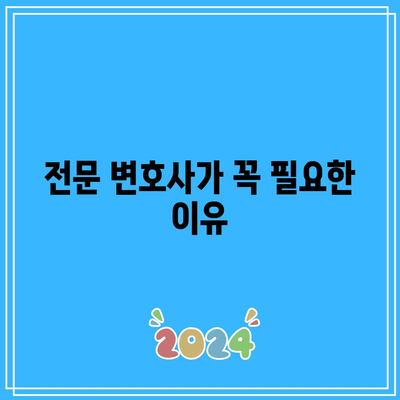 명도소송 강제집행: 전문 변호사의 역할