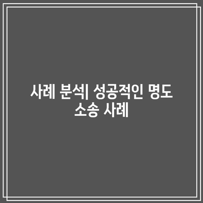 강제집행 손실 최소화를 위한 명도 소송 대응 전략