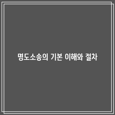 명도소송 강제집행: 공정하고 효과적인 절차 진행