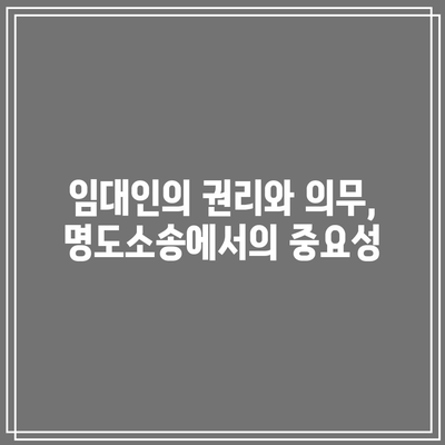 상가 명도소송: 임대료 미납 상황에서 강제집행 활용