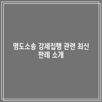 명도소송 강제집행의 법적 과정 분석