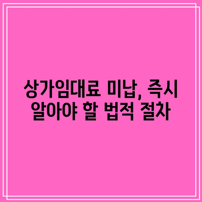 임차인 내보내기: 상가임대료 미납 명도 강제집행 완벽 가이드