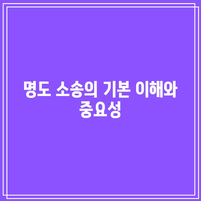 명도 소송 강제집행의 합법적 절차