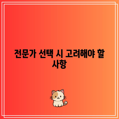 명도소송 강제집행을 위한 전문가의 도움을 구하기