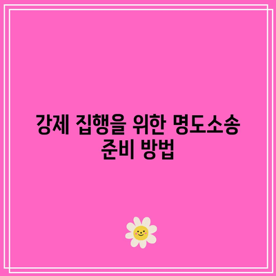 강제 집행과정의 명도소송 강제 집행