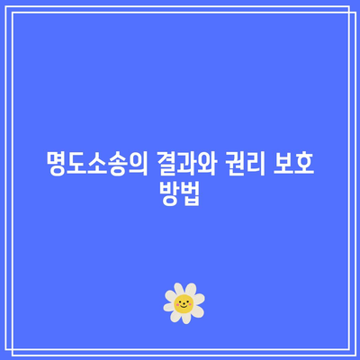 부동산 강제집행과 명도소송 절차 이해하기