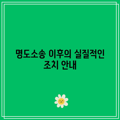 명도소송 강제집행 과정 분석