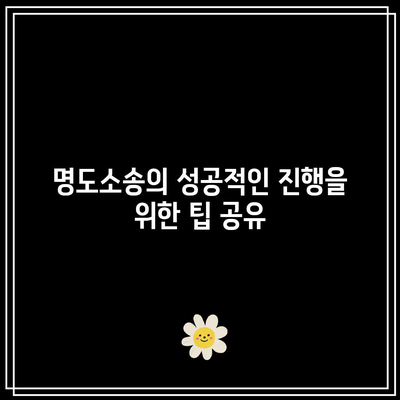 명도소송의 의미와 강제 집행 절차 한눈에 보기