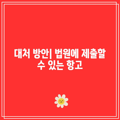 명도 강제 집행에 응하지 않을 경우: 해결책 모색