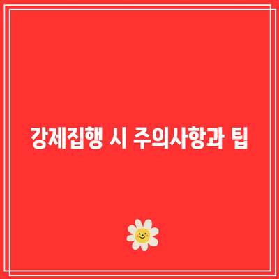 명도소송 강제집행: 절차적 이해